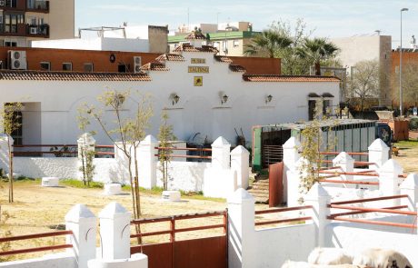 WhatsApp-Image-2026-03-17-at-12.50.30-1-1