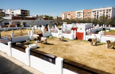 WhatsApp-Image-2026-03-17-at-12.50.30