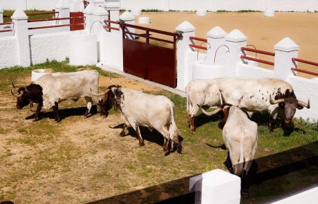 WhatsApp-Image-2026-03-17-at-12.50.31-1-1