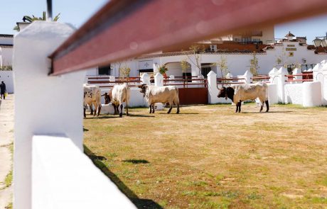 WhatsApp-Image-2026-03-17-at-12.50.31-2-1