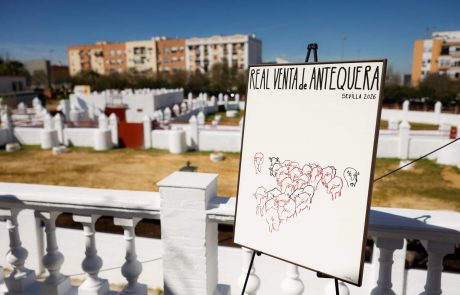 WhatsApp-Image-2026-03-17-at-12.50.31-3