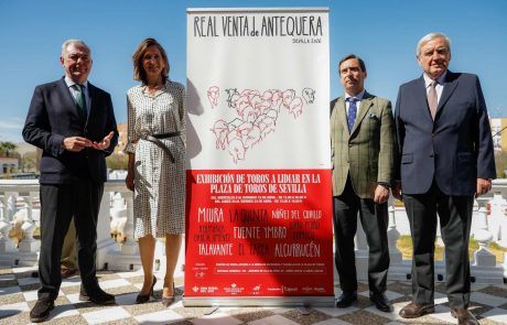 WhatsApp-Image-2026-03-17-at-12.50.35-1-1