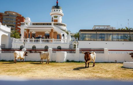 WhatsApp-Image-2026-03-17-at-12.50.36-2