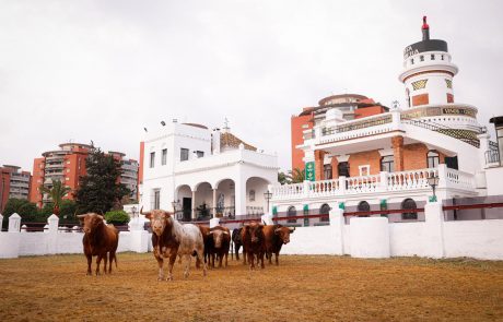 WhatsApp Image 2026-04-07 at 20.56.08 (1)