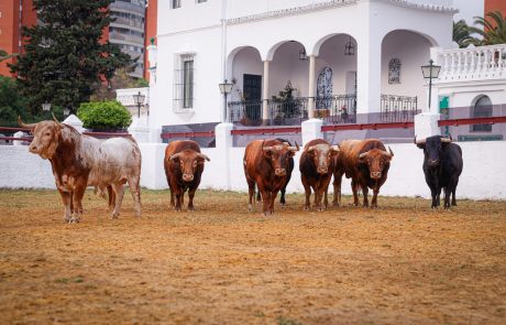 WhatsApp Image 2026-04-07 at 20.56.08 (3)