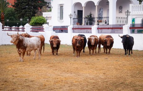 WhatsApp Image 2026-04-07 at 20.56.08