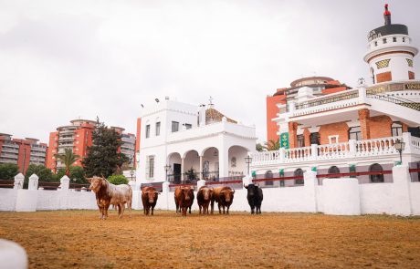 WhatsApp Image 2026-04-07 at 20.56.10