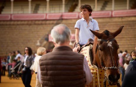 WhatsApp Image 2026-04-10 at 19.41.14