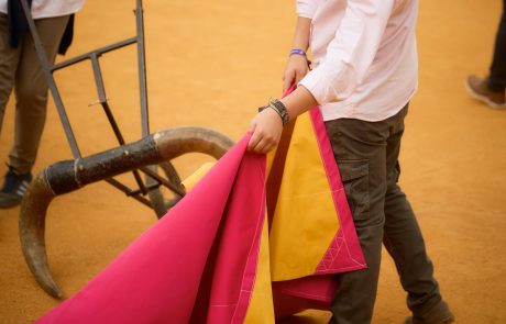 WhatsApp Image 2026-04-10 at 19.41.16 (1)