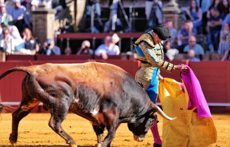 WhatsApp Image 2026-04-15 at 19.04.51