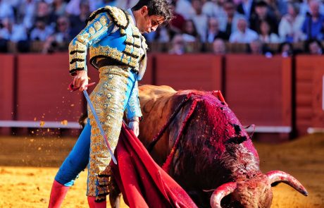 WhatsApp Image 2026-04-15 at 19.04.52