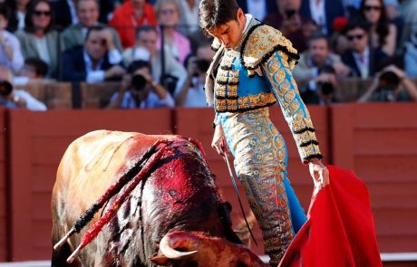 WhatsApp Image 2026-04-15 at 19.05.43 (1)