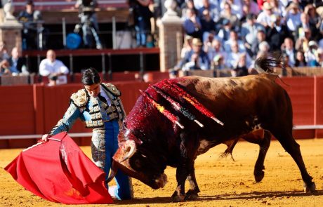 WhatsApp Image 2026-04-15 at 19.05.43