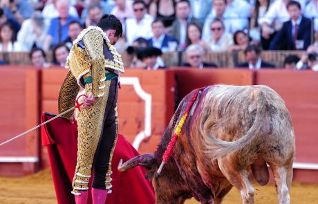 WhatsApp Image 2026-04-15 at 19.28.20