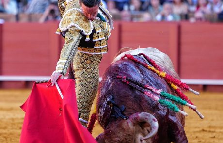 WhatsApp Image 2026-04-15 at 19.28.21 (1)