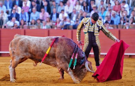 WhatsApp Image 2026-04-15 at 19.28.21