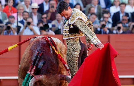 WhatsApp Image 2026-04-15 at 19.34.03