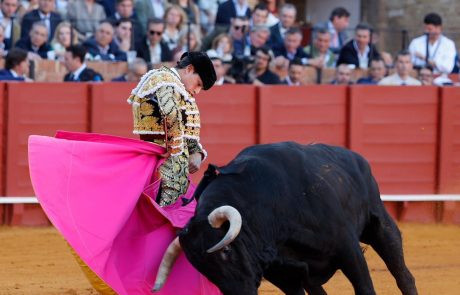 WhatsApp Image 2026-04-15 at 19.50.58 (1)