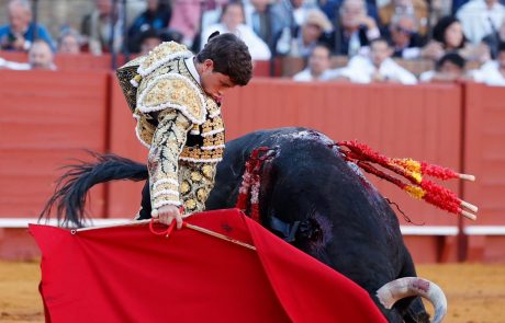 WhatsApp Image 2026-04-15 at 19.50.58