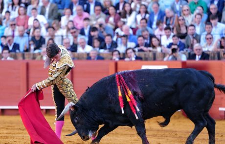 WhatsApp Image 2026-04-15 at 19.51.56 (1)