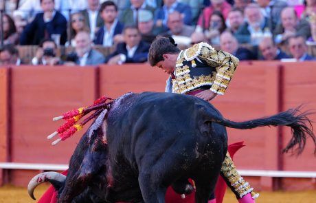 WhatsApp Image 2026-04-15 at 19.51.56