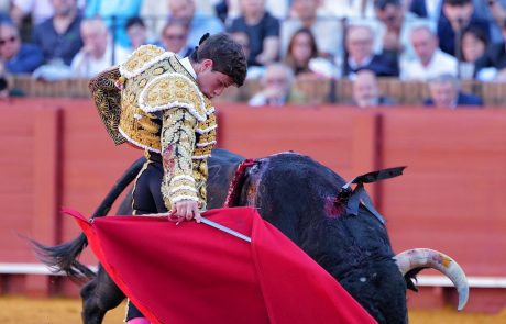 WhatsApp Image 2026-04-15 at 19.51.57