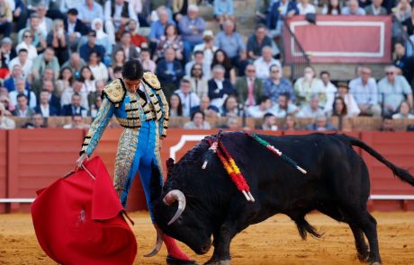 WhatsApp Image 2026-04-15 at 20.10.18 (1)