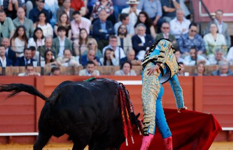 WhatsApp Image 2026-04-15 at 20.10.18 (2)