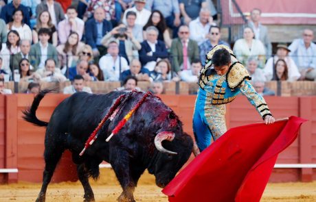 WhatsApp Image 2026-04-15 at 20.10.19