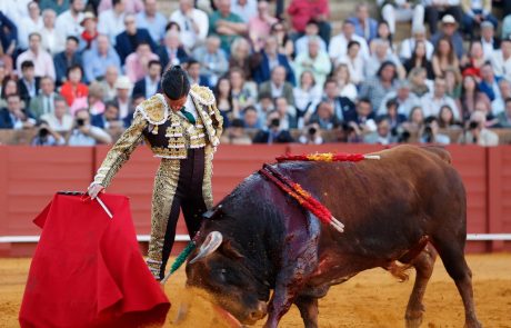 WhatsApp Image 2026-04-15 at 20.31.46 (1)