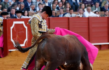 WhatsApp Image 2026-04-15 at 20.31.46