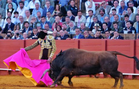 WhatsApp Image 2026-04-15 at 20.32.03