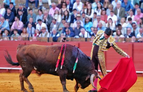 WhatsApp Image 2026-04-15 at 20.32.04 (1)