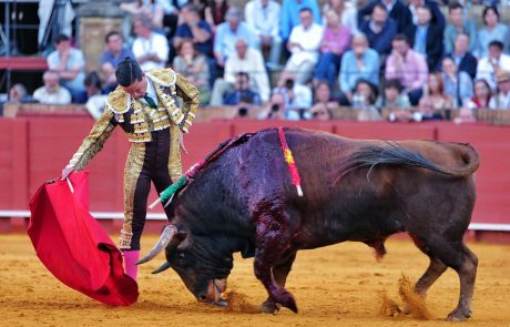 WhatsApp Image 2026-04-15 at 20.32.04