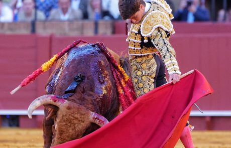 WhatsApp Image 2026-04-15 at 21.01.58