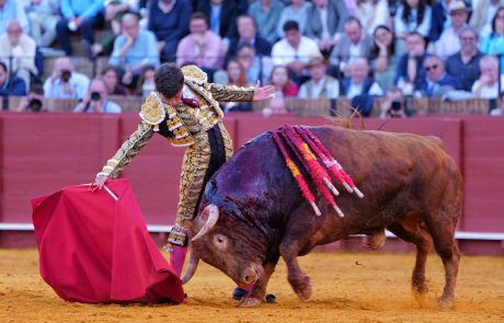 WhatsApp Image 2026-04-15 at 21.01.59 (1)