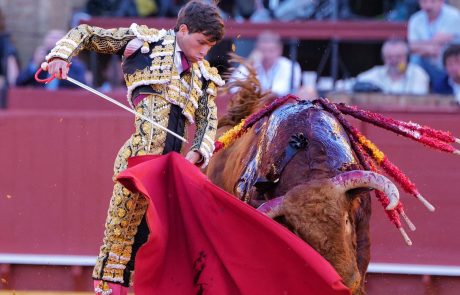 WhatsApp Image 2026-04-15 at 21.01.59