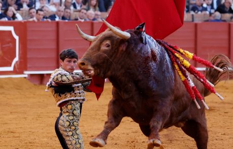 WhatsApp Image 2026-04-15 at 21.03.58