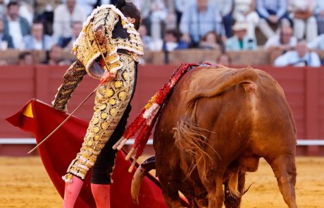 WhatsApp Image 2026-04-15 at 21.03.59 (1)