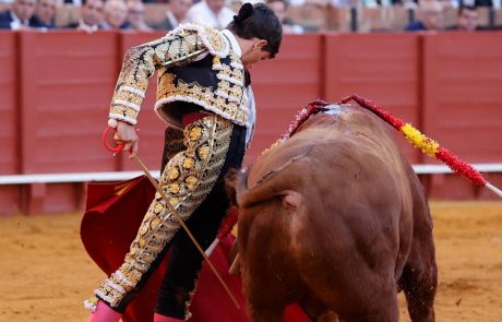 WhatsApp Image 2026-04-15 at 21.03.59